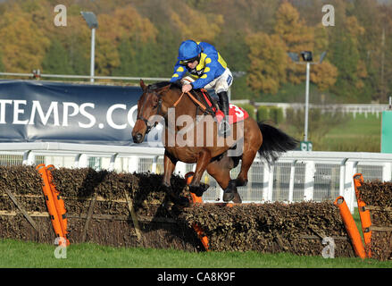 Poungach cavalcato da Ruby Walsh prende l'ultimo volo e vince il Pertemps Handicap Hurdle (Serie Qualifier) a Sandown Park Racecourse, Speen, Surrey - 03/12/2011 - Il Credit: Martin Dalton/TGSPHOTO Foto Stock