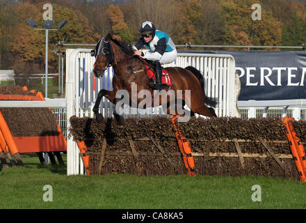 Mio fratello Sylvest cavalcato da Ryan Mahon prende l'ultimo nell'Pertemps Handicap Hurdle (Serie Qualifier) a Sandown Park Racecourse, Speen, Surrey - 03/12/2011 - Il Credit: Martin Dalton/TGSPHOTO Foto Stock