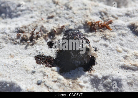 Lug 27, 2010 - Pensacola, Florida, Stati Uniti - Tar sfere sulle spiagge di sabbia bianca di Pensacola martedì. Onde di gooey tar blob di lavaggio erano a terra in numero crescente sulla sabbia bianca della Florida Panhandle Martedì come nere dal BP spill continuano a muoversi a terra. Le palle di catrame è venuto come Foto Stock