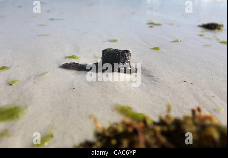 Lug 27, 2010 - Pensacola, Florida, Stati Uniti - Tar sfere sulle spiagge di sabbia bianca di Pensacola martedì. Onde di gooey tar blob di lavaggio erano a terra in numero crescente sulla sabbia bianca della Florida Panhandle Martedì come nere dal BP spill continuano a muoversi a terra. Le palle di catrame è venuto come Foto Stock