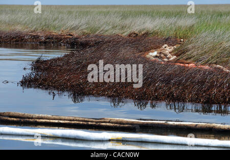 Giugno 17, 2010 - Porto di zolfo, Louisiana, Stati Uniti - Danneggiato marsh è visto in un'area di Barataria Bay danneggiati dalla BP Golfo del Messico fuoriuscite di olio in porto zolfo, Louisiana, STATI UNITI D'AMERICA 17 giugno 2010. La fuoriuscita di olio è il più grande nella storia degli Stati Uniti e che continua a minacciare la fauna selvatica, l'ecosistema e l'economia di t Foto Stock