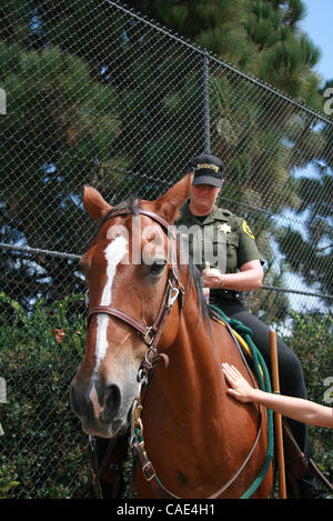 Aug 28, 2010 - Dana Point, California, Stati Uniti - Orange County sceriffi dipartimento unità montata. Ogni ufficiale di questa unità deve acquistare e cura per il proprio cavallo. Questo anno di preparazione alle situazioni di emergenza Expo in Dana Point featured decine di manifestazioni, espositori, veicolo d'emergenza visualizza, helicop Foto Stock