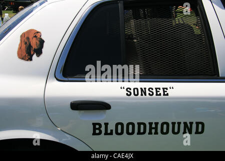 Aug 28, 2010 - Dana Point, California, Stati Uniti - Orange County Sheriff veicolo visualizza il compagno officer 'Sonsee' un bloodhound. Tutti i segugi utilizzando dalle forze di polizia sono femmine. Questo anno di preparazione alle situazioni di emergenza Expo in Dana Point featured decine di manifestazioni, espositori, emergenza displ del veicolo Foto Stock