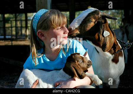 Didascalia: Foto 1 : (Brooksville, lunedì, 01/28/2008) Hailey pone di Huffman per un ritratto con il suo stato di capra fiera 'cosa' (a destra) e un nuovo bambino capra denominato 'Dot", nella sua casa di Brooksville lunedì 1/28/08. Nome: Hailey Huffman di età: 8 animale: la capra di nome 'cosa' (SÌ vi è un fratello na Foto Stock