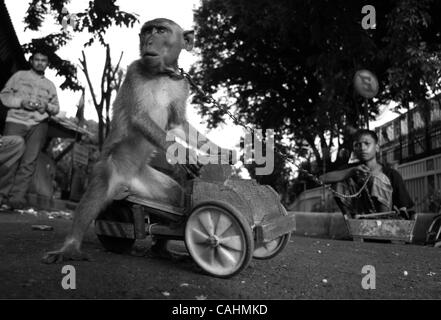 Una scimmia ride pedicab giocattolo durante la prestazione tecnica tradizionale 'Monkey Mask' sulla strada a Jakarta, Indonesia. Dicembre 9,2007.Migliaia di bambini in Indonesia per non andare a scuola, che aiuta la famiglia a trovare il denaro per il loro vivere, molti di loro lavorano tutto il settore informale.Questo uno di storia, chi fi per bambini Foto Stock