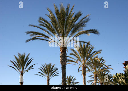 Dic 24, 2007 - Carlsbad, California, Stati Uniti d'America - La costa si riferisce sia ad una comunità residenziale di Carlsbad e del world-class i campi da tennis e da golf resort and spa che vive nel suo centro. La Costa Resort & Spa è costituito da due campi da golf a 18 buche, resort hotel e unità condominiali, 19 campi da tennis Foto Stock