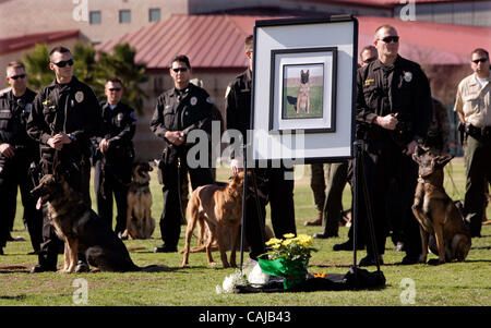 HLoPDdog281594x001.jpg 1/14/2008 Camp Pendleton (San Diego County in California) USA  Polizia cani di servizio e i loro gestori di eventi a circondare una foto di Oceanside servizio di polizia cane "Stryker" durante il memoriale di servizio a Camp Pendleton per il cane ucciso nella linea del dazio su dicembre 31, 2007 quando l'uomo che Foto Stock