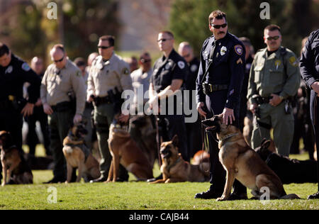 HLoPDdog281594x002.jpg 1/14/2008 Camp Pendleton (San Diego County in California) USA  Polizia cani di servizio e i loro gestori di eventi nel corso di un memoriale di servizio per Oceanside Servizio di Polizia, cane "Stryker" svoltasi a Camp Pendleton per il cane ucciso nella linea del dazio su dicembre 31, 2007 quando l'uomo che ha afferrato Foto Stock