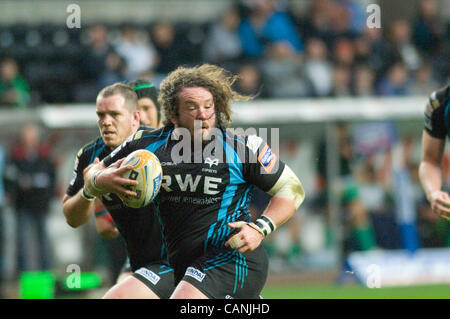 RaboDirect PRO12 - Asprì v Treviso @ il Liberty Stadium di Swansea. Adam Jones sulla tassa per il falco pescatore. Foto Stock