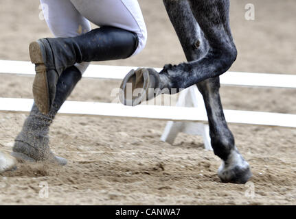 Asta a molla di oldkladrubs cavalli nel National Stud di Kladruby nad Labem, Repubblica Ceca, sabato, 31 marzo 2012. (CTK foto/Alexandra Mlejnkova) Foto Stock