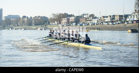 Il fiume Tamigi, Londra, Regno Unito. 06/04/2012. 158Xchanging Oxford & Università di Cambridge Boat Race. La Oxford Blue equipaggio su una gita in pratica durante il venerdì prima del giorno della gara. Oxford Blue equipaggio: - Prua: Il Dott. Alexander boschi (GBR), 2: William Zeng (USA), 3: Kevin Baum (USA), 4: Dr. Annone Wienhausen Foto Stock