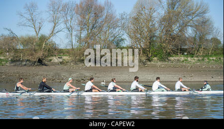 Il fiume Tamigi, Londra, Regno Unito. 06/04/2012. Il Cambridge equipaggio blu su una gita in pratica durante il venerdì prima del giorno della gara. Domani sarà la 158Xchanging Oxford & Università di Cambridge Boat Race. Foto Stock