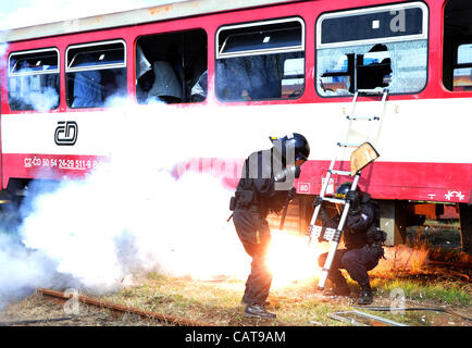 Riot Police pratica di Pardubice e Liberec regioni, Repubblica Ceca e Wroclaw, Polonia praticata in deposito dei treni come intervenire contro la violenza nei treni. Il polacco e il ceco polizia addestrato per evitare problemi durante l'EURO 2012, il torneo di calcio, in Ceska Trebova, Repubblica Ceca il 18 aprile Foto Stock