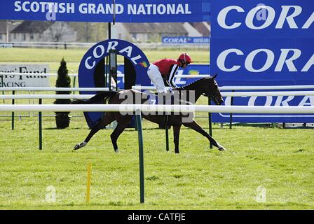 Ayr, Regno Unito. Il 20 aprile, 2012. Scottish Grand National Week-end (giorno 1). Vincitore - Malin Bay cavalcato da Fearghal Davis è prima di attraversare la linea la terza gara a Ayr questo pomeriggio. Foto Stock