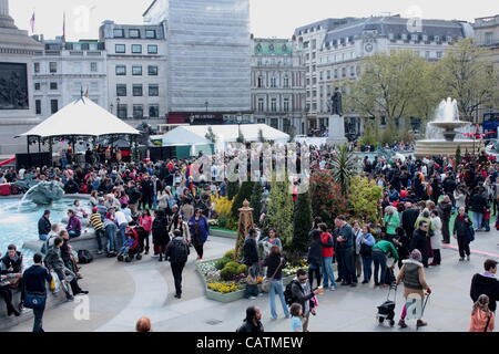 Blumi, arbusti e astroturf in Trafalgar Square per St George's Day Foto Stock