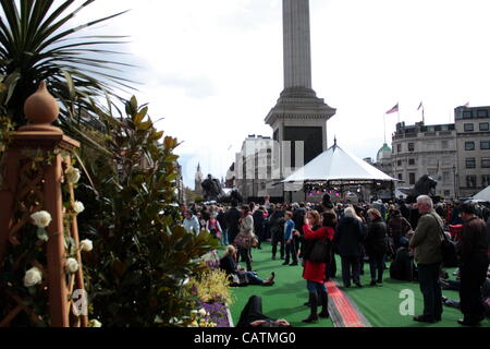 Blumi, arbusti e astroturf in Trafalgar Square per St George's Day Foto Stock