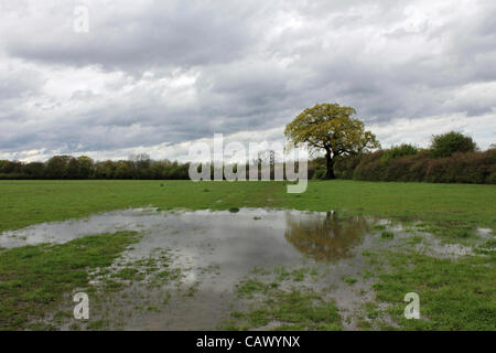 Come le docce aprile continuare in tutta la Gran Bretagna, più le tempeste e i campi allagati a Tolworth Corte Agriturismo, verde terra della cinghia nella zona sud-ovest di Londra, Inghilterra, Regno Unito Foto Stock