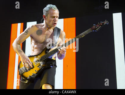 Aprile 30, 2012 - Ottawa, Ontario, Canada - bassista, Flea della band Red Hot Chili Peppers, suona dal vivo durante il loro "Io sono con voi" Tour, a Scotiabank il luogo di Ottawa in Canada il 30 aprile 2012. (Credito Immagine: © Kamal Sellehuddin/ZUMAPRESS.com) Foto Stock