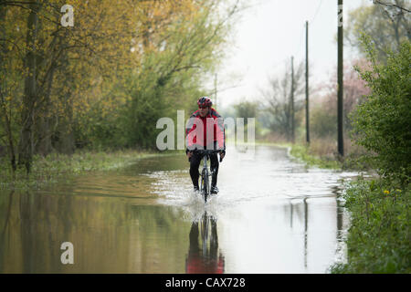 Il 1° maggio 2012, Billericay, Essex, Regno Unito. Ciclista viaggia attraverso acque alluvionali. Una pioggia torrenziale ha portato ad allagamento locale che è diventata peggio benche la pioggia ha interrotto a causa di run-off da campi circostanti. Foto Stock