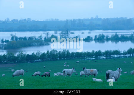 Tewkesbury, nel Gloucestershire. Martedì 1 maggio 2012. A cinque anni dalla peggiore inondazione Tewkesbury in Gloucestershire ha mai sperimentato, gli avvisi vengono messi in luogo come Severn e Avon fiumi hanno rotto gli argini e la pianura che circonda il capoluogo della contea si riempie fino a livelli pericolosi. Foto Stock