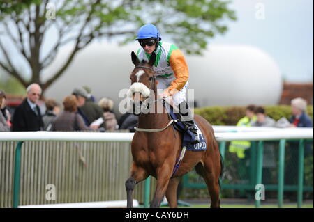 06.05.2012 Newmarket Inghilterra. Newmarket Festival di racing,Bridal Belle con Paolo Hanagan fino. Il supporto Qipco British Racing Stakes. Foto Stock