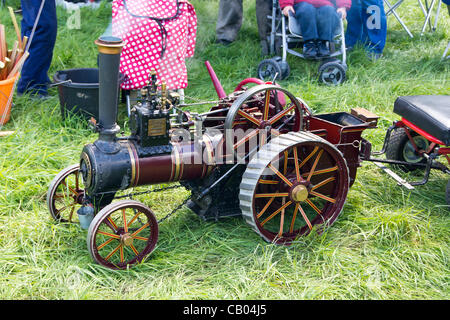 Motori a vapore sul display per vedere a tutti presso il mulino stotfold vapore e fiera di paese mostrano Foto Stock