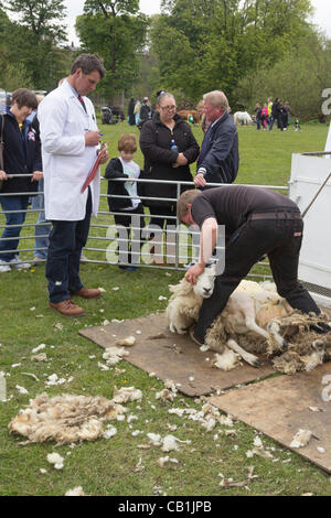 Domenica 20 maggio 2012, Witton Country Park, Blackburn Inghilterra. Un giudice segna la tosatura delle pecore le competenze di un concorrente in campagna Experience Day organizzata dalla Royal Lancashire Società Agricola (RLAS). Foto Stock