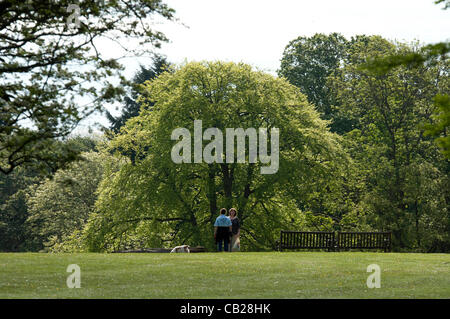 Swansea - Regno Unito - 23 Maggio 2012 - la gente camminare i loro cani in Clyne Gardens Park a Swansea oggi durante la stagione calda. Foto Stock