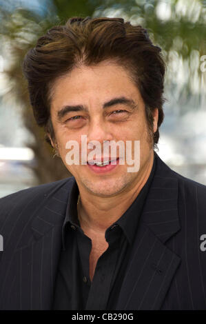 Benicio Del Toro (attore e regista) a photocall per film "7 Giorni a l'Avana " sessantacinquesimo Cannes Film Festival 2012 Palais des Festival di Cannes, Francia mer 23 Maggio 2012 Foto Stock