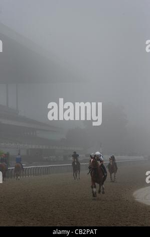 25 maggio 2012 - Elmont, New York, Stati Uniti - Cavalli lavorano oltre la principale via nella nebbia a Belmont Park questa mattina in anticipo del Belmont Stakes il 9 giugno. (Credito Immagine: © Bryan Smith/ZUMAPRESS.com) Foto Stock