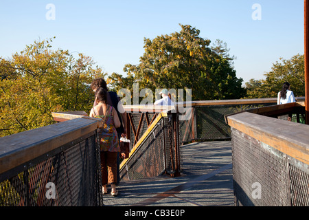 Xstrata Treetop passerelle a Kew Gardens a Londra Foto Stock