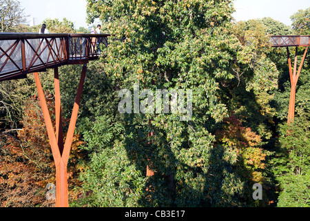 Xstrata Treetop passerelle a Kew Gardens a Londra Foto Stock