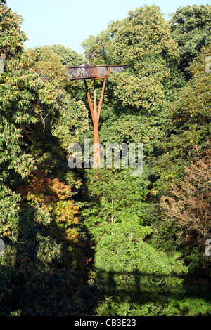 Xstrata Treetop passerelle a Kew Gardens a Londra Foto Stock