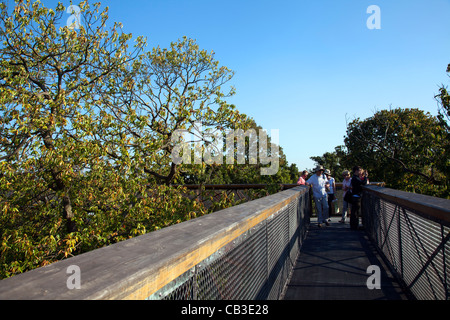 Xstrata Treetop passerelle a Kew Gardens a Londra Foto Stock