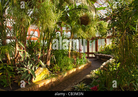 All'interno del conservatorio a Stamford Park, Ashton Under Lyne, Tameside, Manchester, Inghilterra, Regno Unito Foto Stock