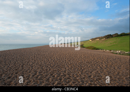 Chesil Beach nelle vicinanze Abbotsbury nel Dorset, a 29 km lunga barriera shingle Beach sulla costa sud dell'Inghilterra nella Jurassic Coast Foto Stock