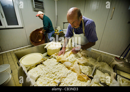 Guglielmo Locatelli, latteria Locatelli, Reggetto, Val Taleggio, Lombardia, Italia Foto Stock