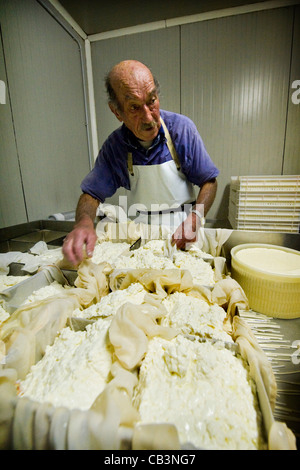 Guglielmo Locatelli, latteria Locatelli, Reggetto, Val Taleggio, Lombardia, Italia Foto Stock