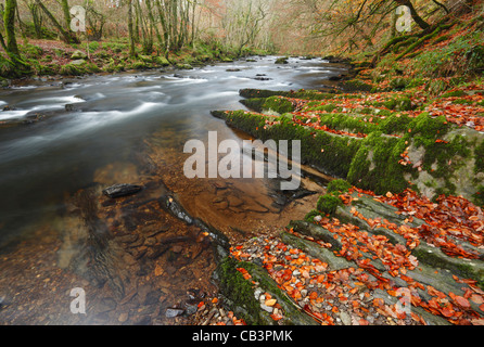Il fiume Barle vicino Tarr passi. L'autunno. Parco Nazionale di Exmoor. Somerset. In Inghilterra. Regno Unito. Foto Stock
