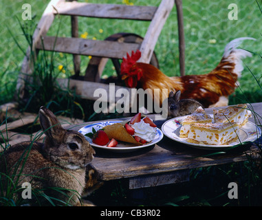 Tableau: cialde ripiene con fragole e panna alla vaniglia / albicocca - la torta di panna Foto Stock