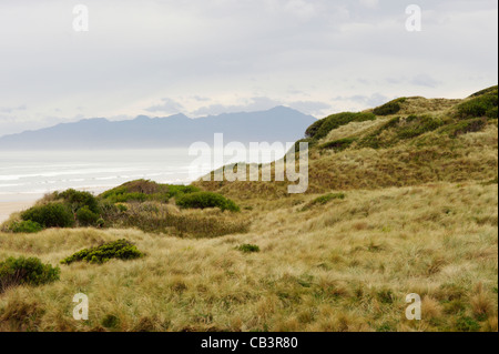 Montare Heemskirk gamma dal Monte Dundas Riserva regionale dune, nella costa occidentale della Tasmania, Australia Foto Stock