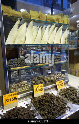 Essiccato pinne di squalo abalone pesce maw cetrioli di mare e le ostriche in un negozio di frutti di mare su Sheung Wan pesce essiccato sulla Strada des voeux Foto Stock