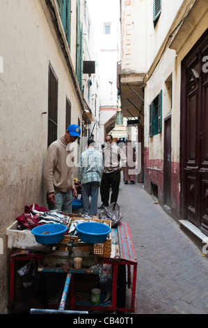Venditore di pesce in Petit Socco, Kasbah ,Tangeri, Marocco, Africa del Nord
