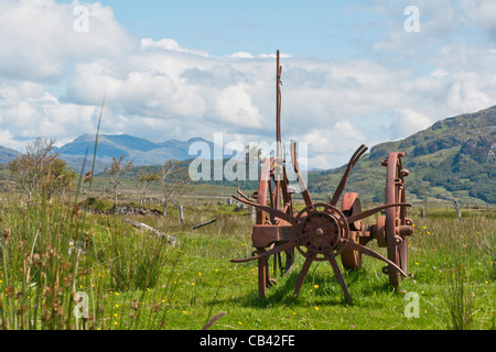 L'agricoltura,attrezzo agricolo, meccanica, fieno Turner, cavallo, ridondanti Foto Stock