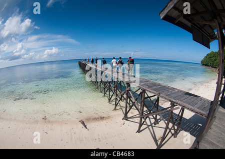 L'accogliente dal molo presso il lago di Medusa, meduse lago, isola di Kakaban, Berau, Kalimantan, Borneo, Indonesia, Oceano Pacifico Foto Stock