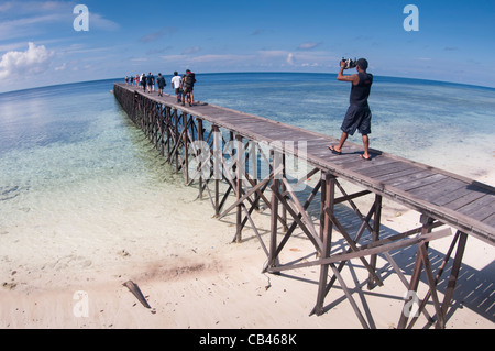 L'accogliente dal molo presso il lago di Medusa, meduse lago, isola di Kakaban, Berau, Kalimantan, Borneo, Indonesia, Oceano Pacifico Foto Stock