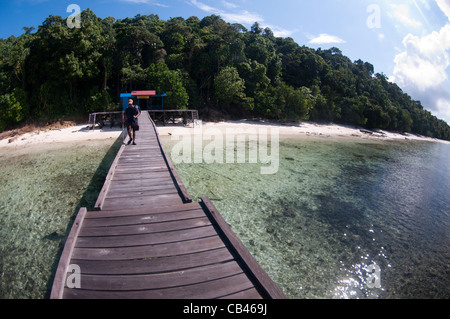 L'accogliente dal molo presso il lago di Medusa, meduse lago, isola di Kakaban, Berau, Kalimantan, Borneo, Indonesia, Oceano Pacifico Foto Stock