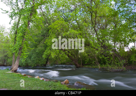 Lungo le rive del torrente minnehaha in minnehaha park di Minneapolis Minnesota Foto Stock