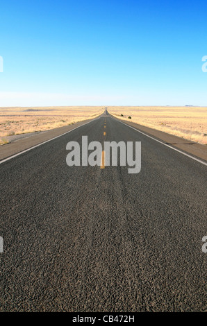 Autostrada 180 in Northern Arizona Tagli dritti attraverso le praterie all'orizzonte sotto un cielo blu Foto Stock