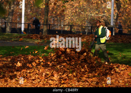 Un giardiniere in St James Park, London clearing foglie con uno zaino soffiatori di fogliame Foto Stock